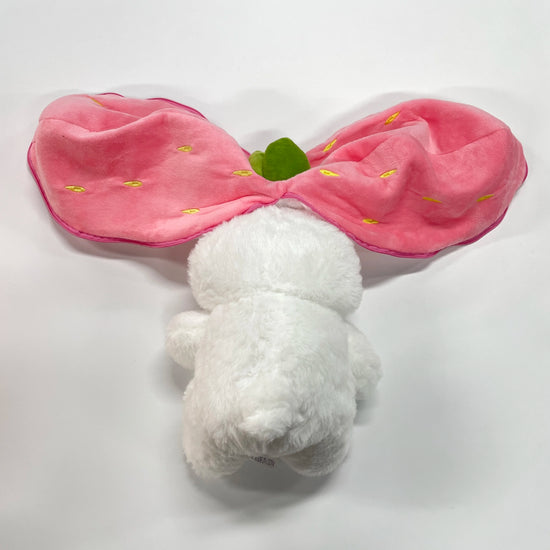 Kawaii Carrot & Strawberry Zip-up Ears Baby Bunny Rabbit Plushie